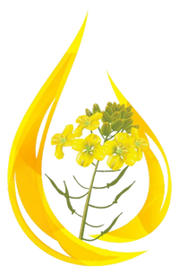 Mustard Oil