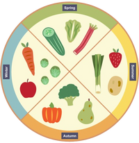 Seasonal Food